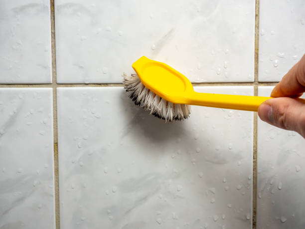 Best Health and Safety Mold Remediation in Bangor, MI